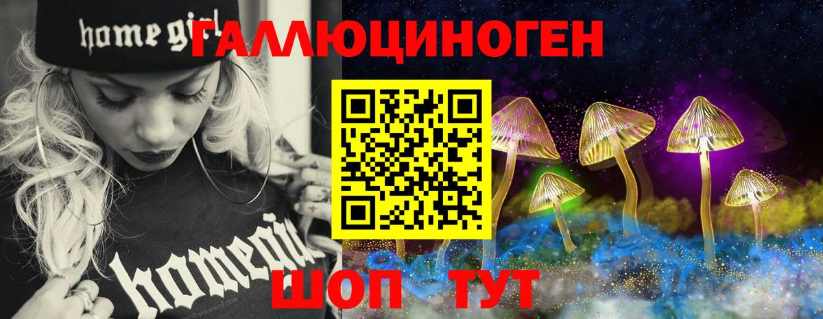 Новодвинск  Галлюциногенные грибы Cubensis  Вход с VPN 