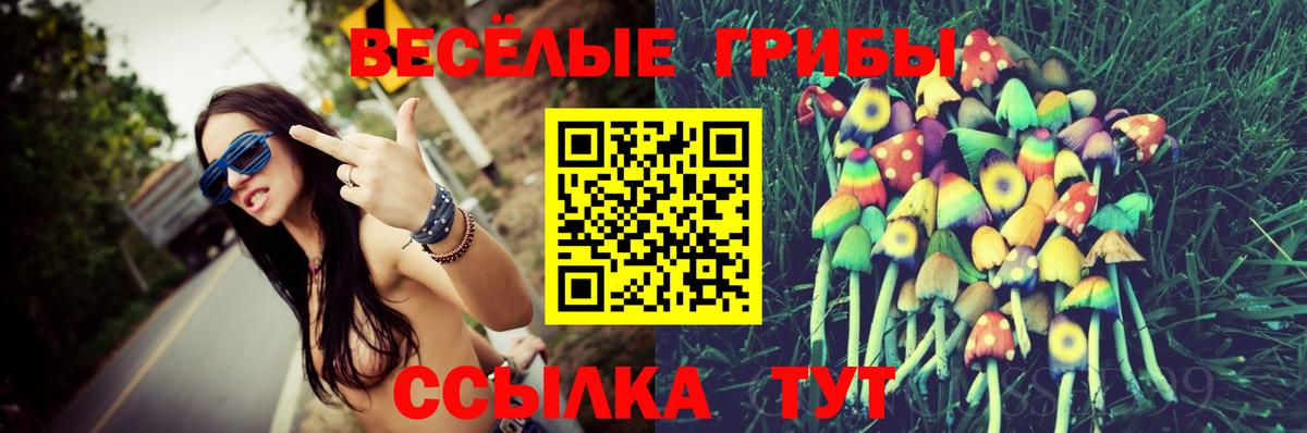 Псилоцибиновые грибы Psilocybe Новодвинск